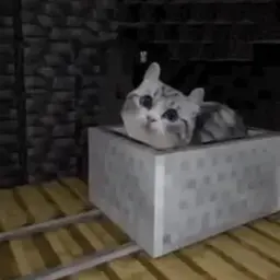 myrkoooo