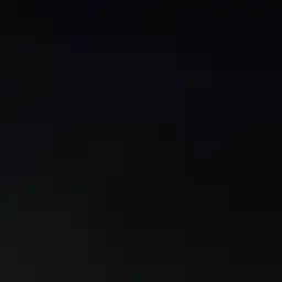 1231314156262
