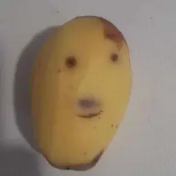 лтджрр