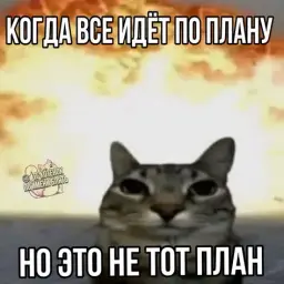Camo_YT
