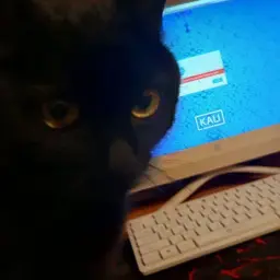 usrnet