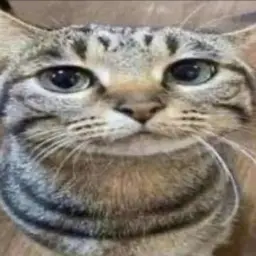 Jilgq
