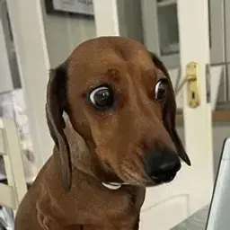 epiesscope
