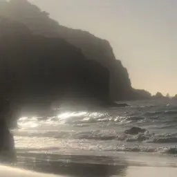 Aphex