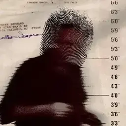 b2rlin