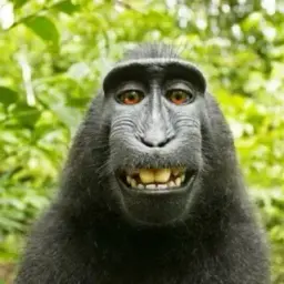 bibizyankaaaaaaa