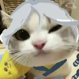 nekusttt