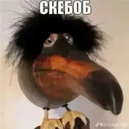 Jgfddgg