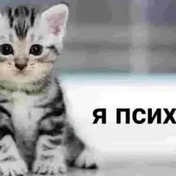 псих