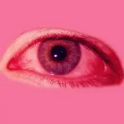 eye14