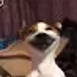 vadimasdasda