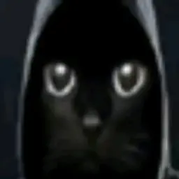 shehvh