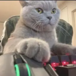 aggressivewood