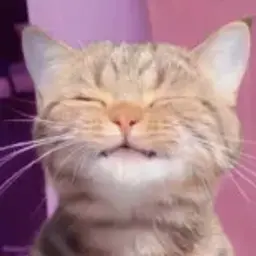reqmo