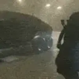 xjankle