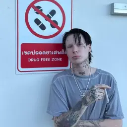 мищонок