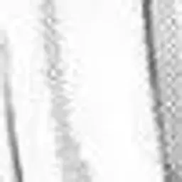 noclipson
