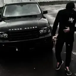 d333m