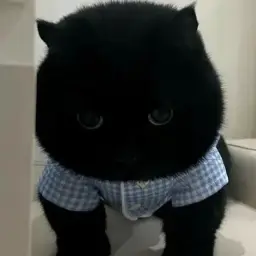hoperXD