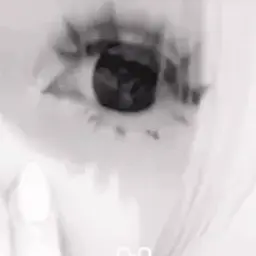 GrezzYt