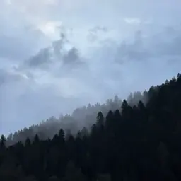 Wr_jb