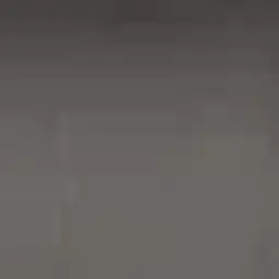 xxxjj0