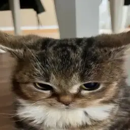 wirsixzzz