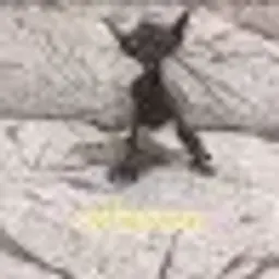 Vadimic