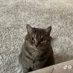 GiorgioArmani