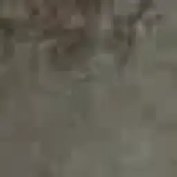 Вазилиновый