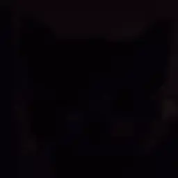 WhatACat