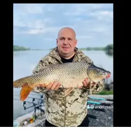 Bombanus