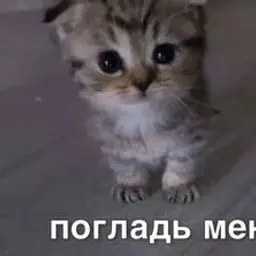 kirushv