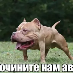 hubratin