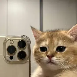 jeqwwwwwwwww