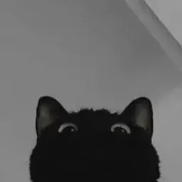 1nvas3r