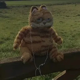 Amsuxsrx