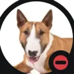 жопа