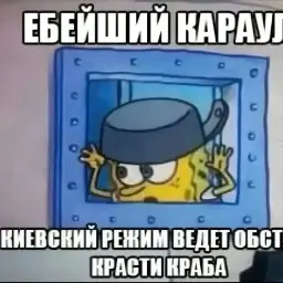 Timofeyxz2108