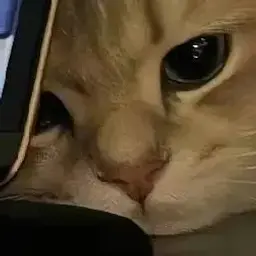 zxzlzy
