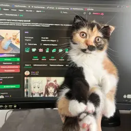 qwq