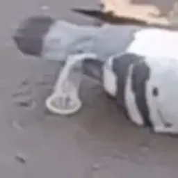a1paka