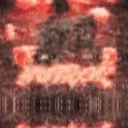 NUTROK
