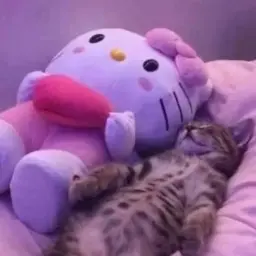koti_270