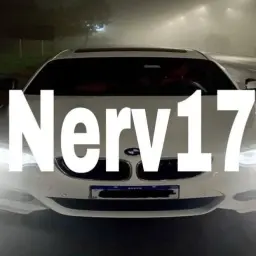 nerv17