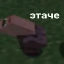 Masbis