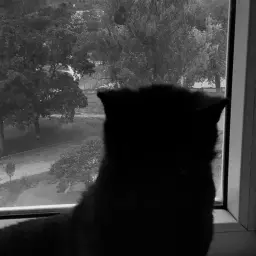 whythunder