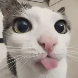 NNaked