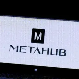 MetaHub