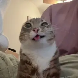 скуууф